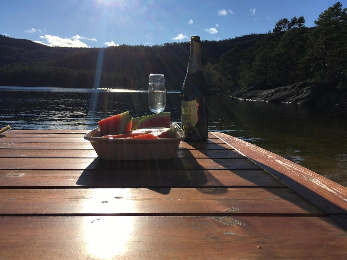 Sinesoyni In Byglandsfjord - Evje Villa Екстериор снимка